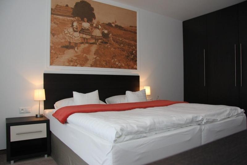 Hotel Mousson Michalovce Rom bilde